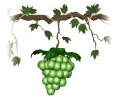 raisin gif