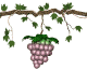 raisin gif