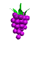 gif raisin